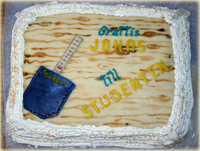 Denna tårta gjorde jag till en granne vars son tog studenten från Byggprogrammet.
